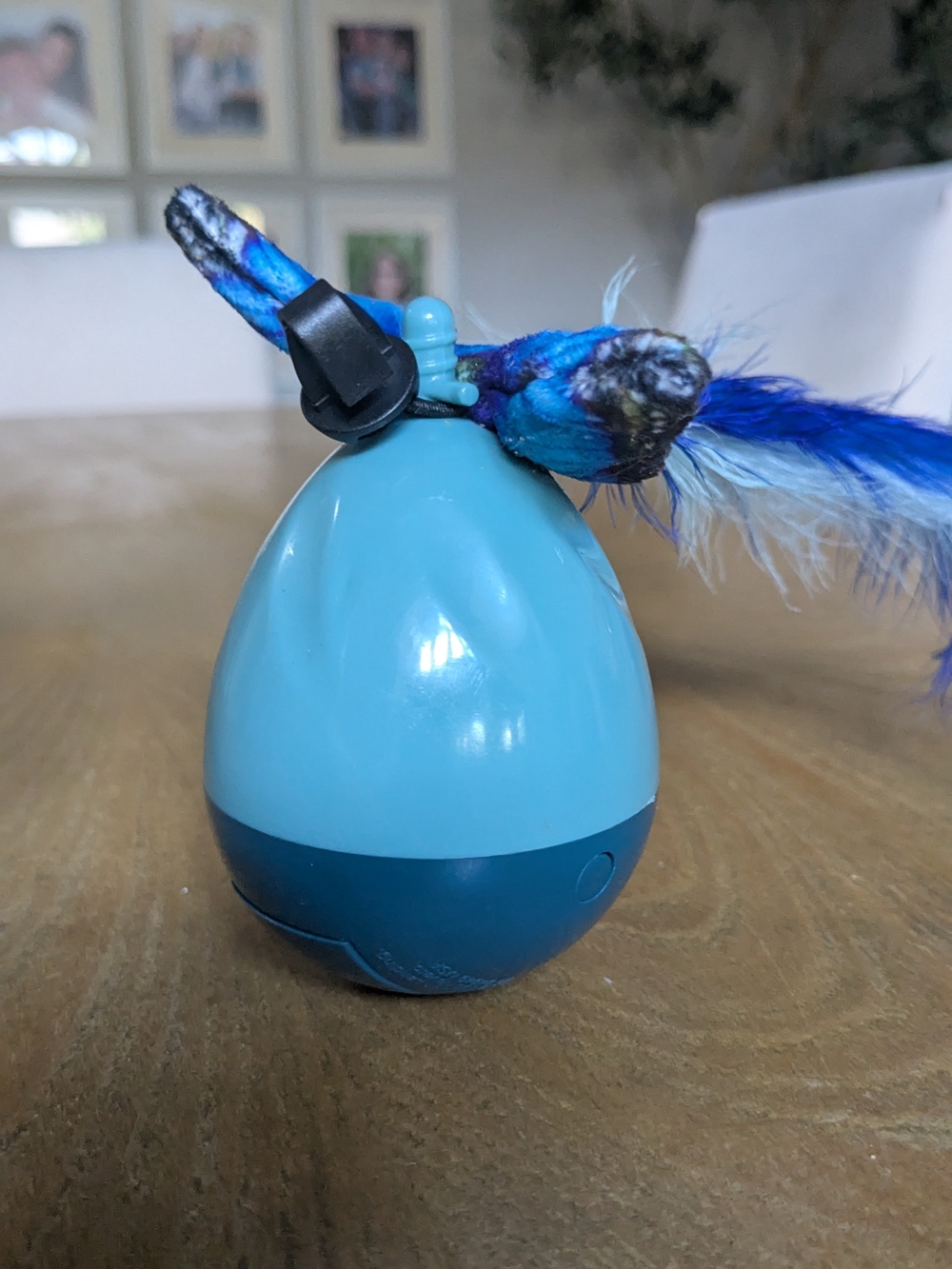 Blue Interactive Cat Toy with Feather Attachment
